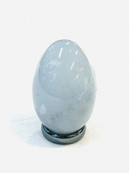 egg ag dendritic